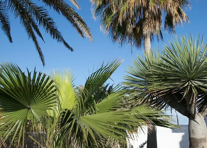 'casa Ola' Relax In Style By The Sea